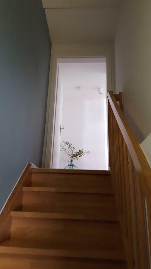Haus Zum Wilden Manne Villa Erfurt Ngoại thất bức ảnh